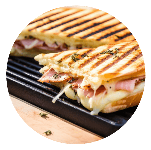 PANINIS