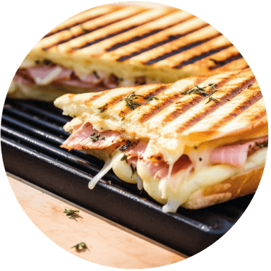 PANINIS